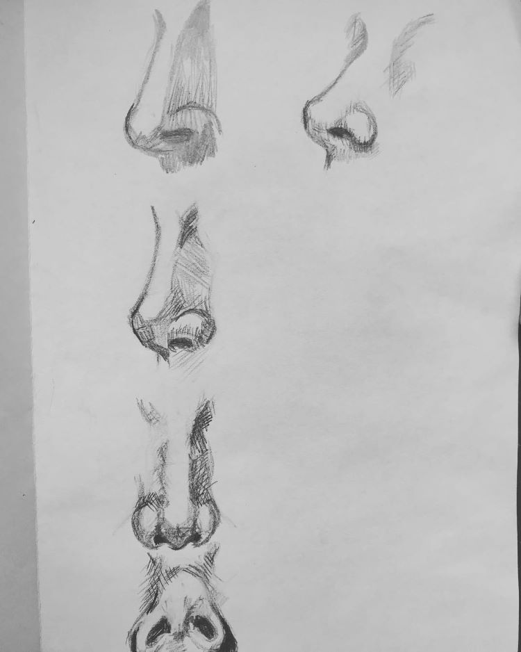 Quick sketches of noses