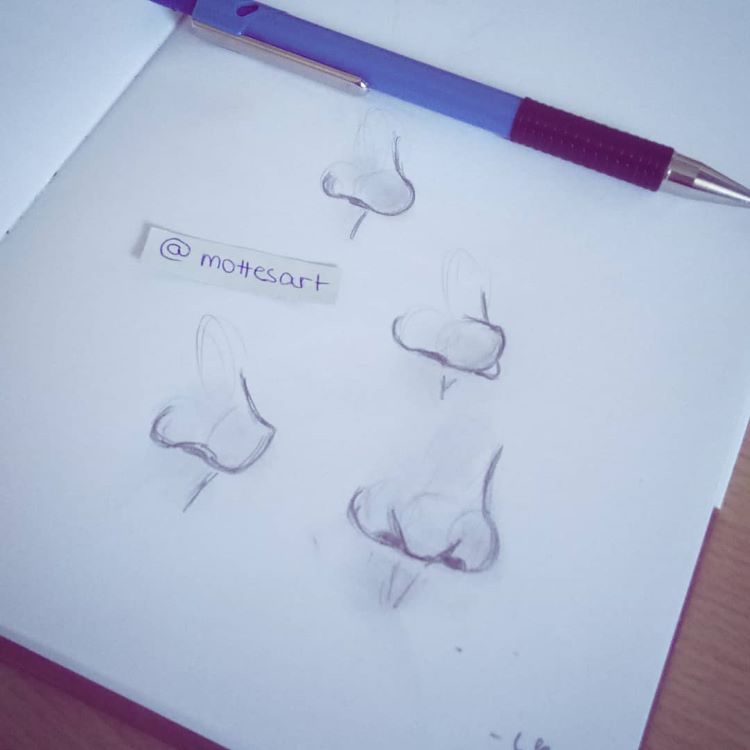 Studying noses with sketches