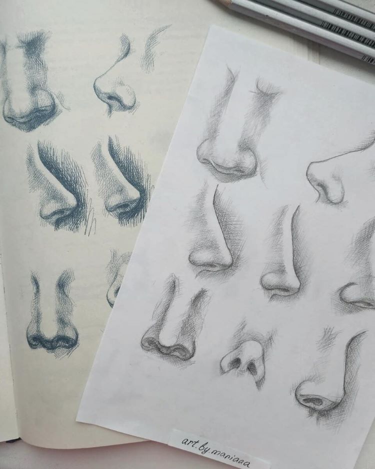 Human nose drawings examples