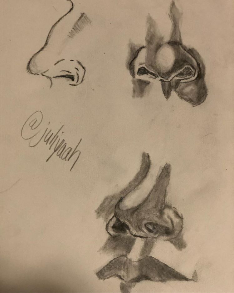 charcoal nose sketch