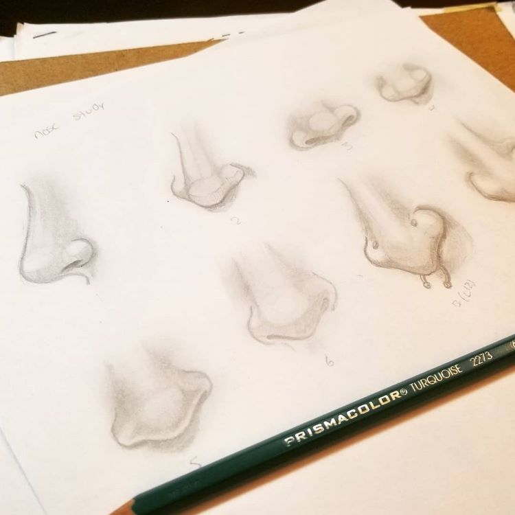 Nose drawings with nose rings