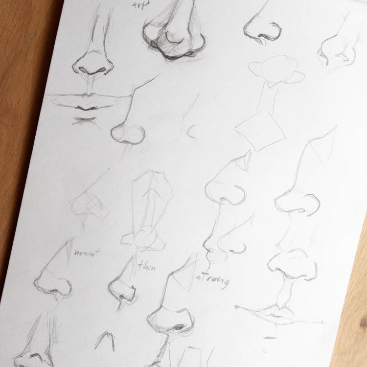 Practicing noses in pencil