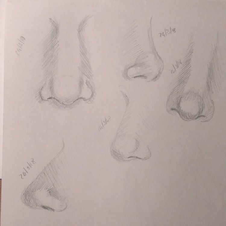 Pencil Portrait Drawing  How to Draw a Nose