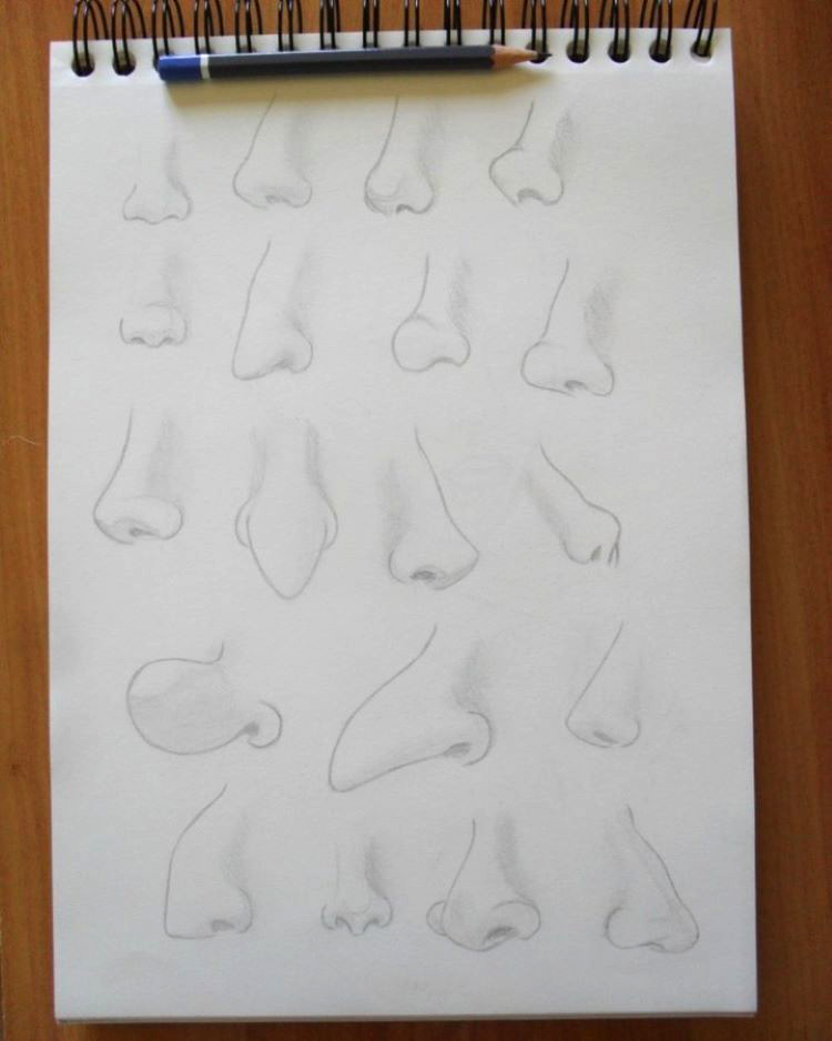Nose drawings with exaggeration