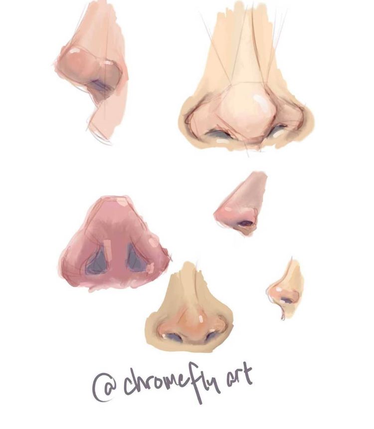 Digital drawings of noses from all angles