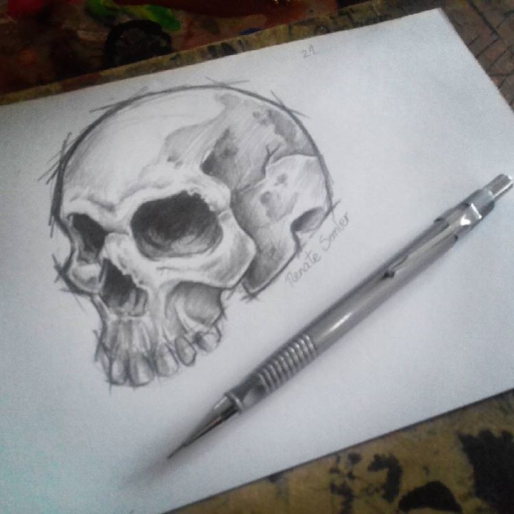 50+ Skull Drawings & Sketches For Art Inspiration