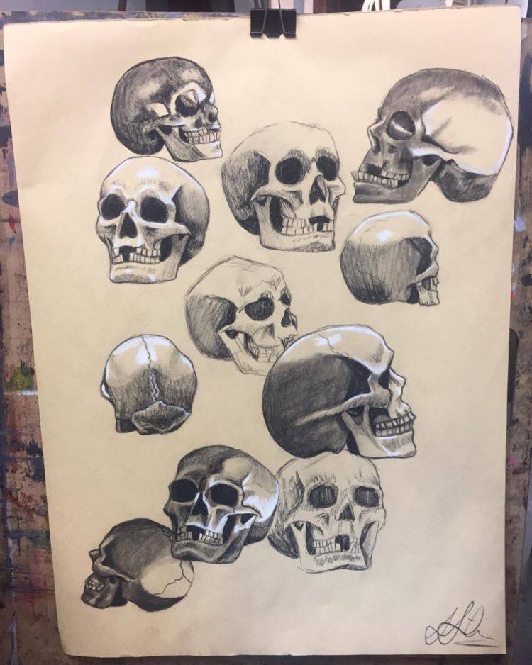 Drawing of skulls - quick practice