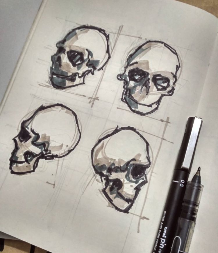 Practicing skull drawings