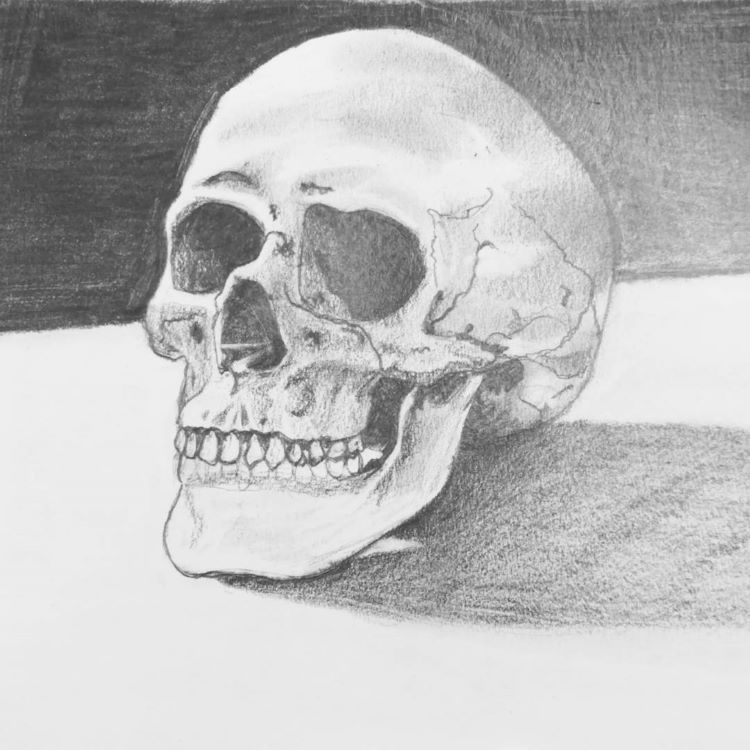 How To Draw A Human Skeleton Head