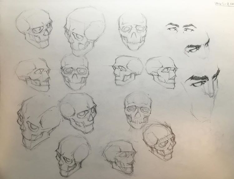 Cartoony practice for skulls