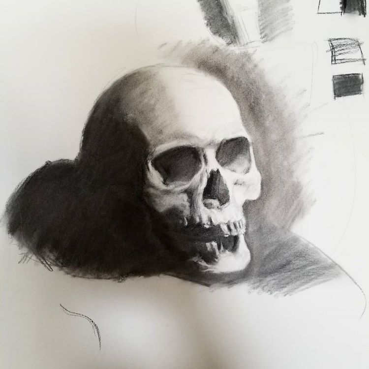 Dark shadows skull drawing