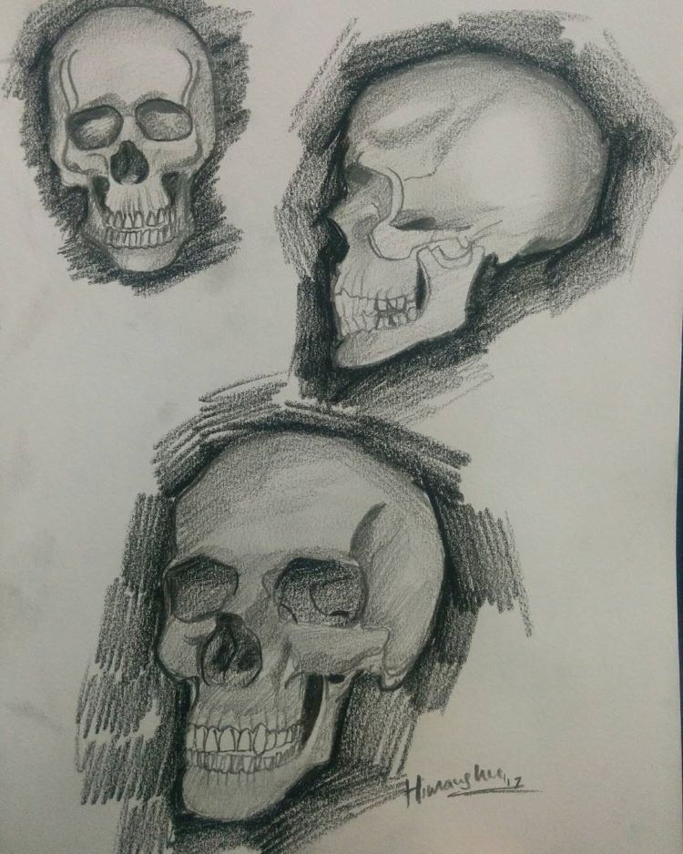 Rich skull drawings darker