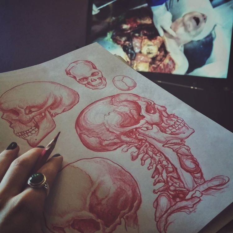 Skull drawing in red pencil