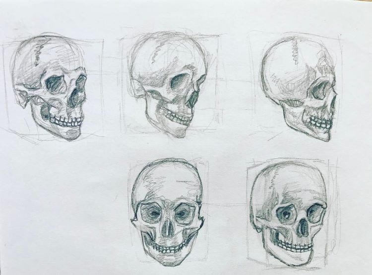 Quick skulls drawing