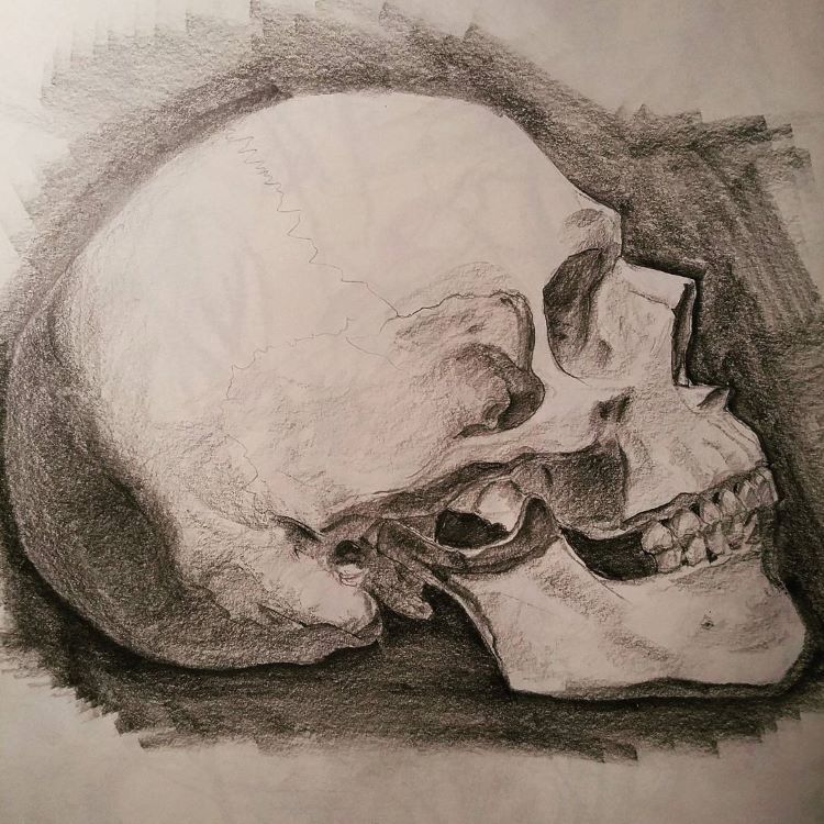 side skull drawing