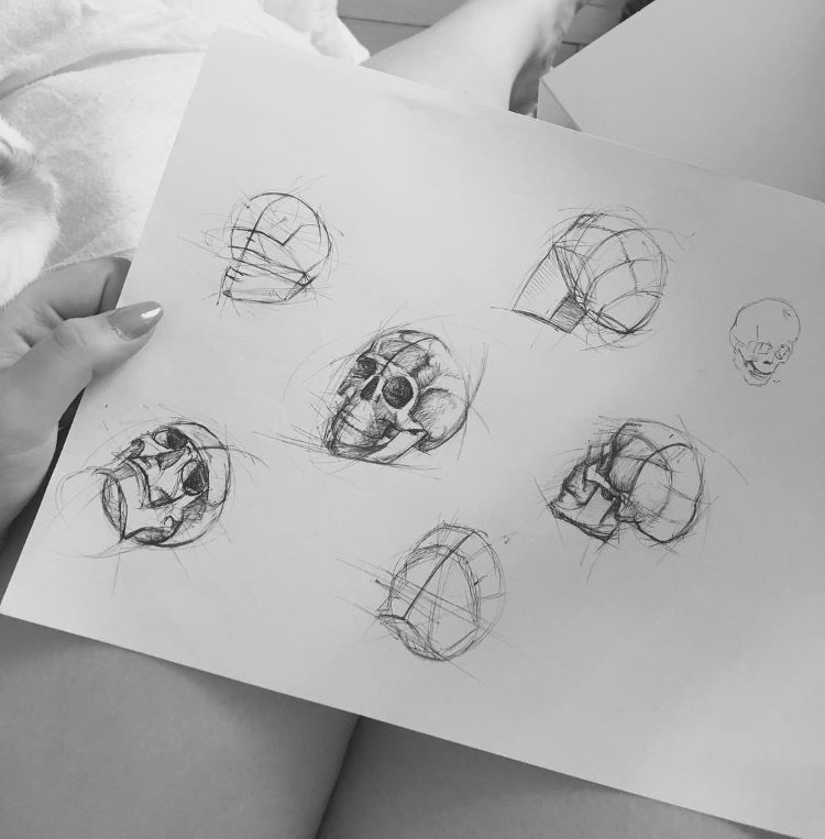 Notebook sketches of skulls