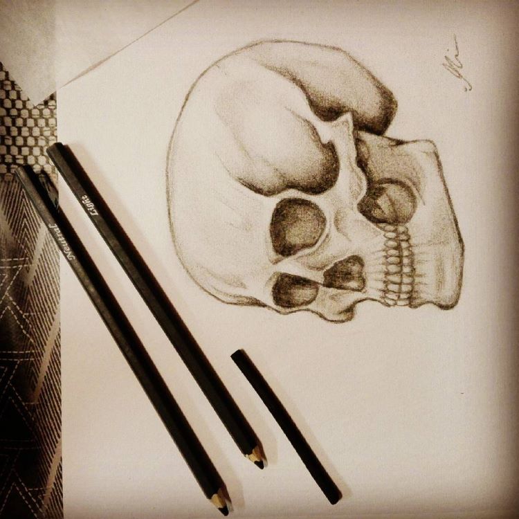 best skull drawings