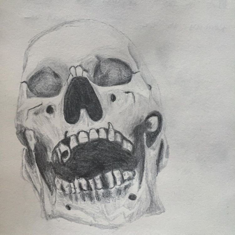 Drawing skull with open mouth