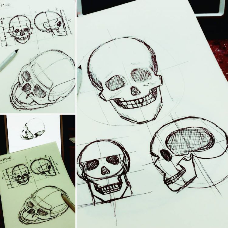 Skull drawings from multiple views