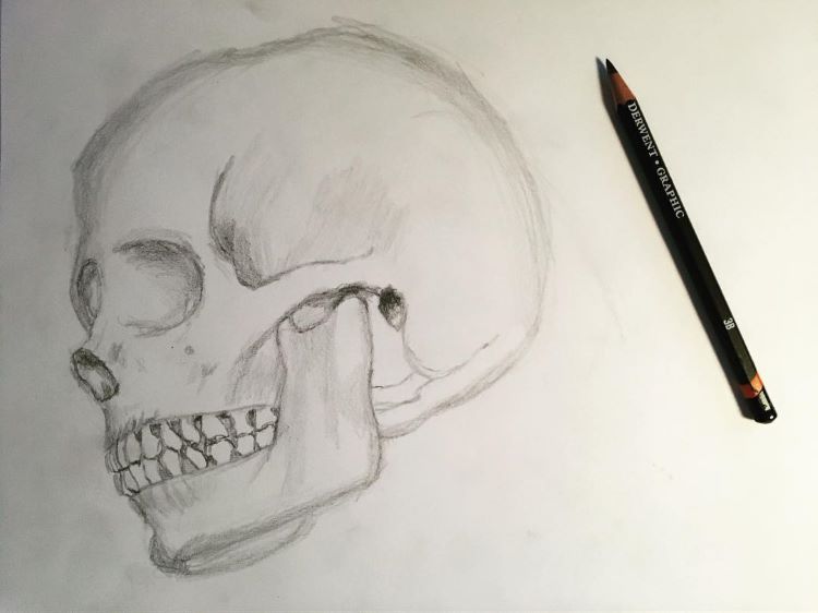 drawings in pencil of skulls