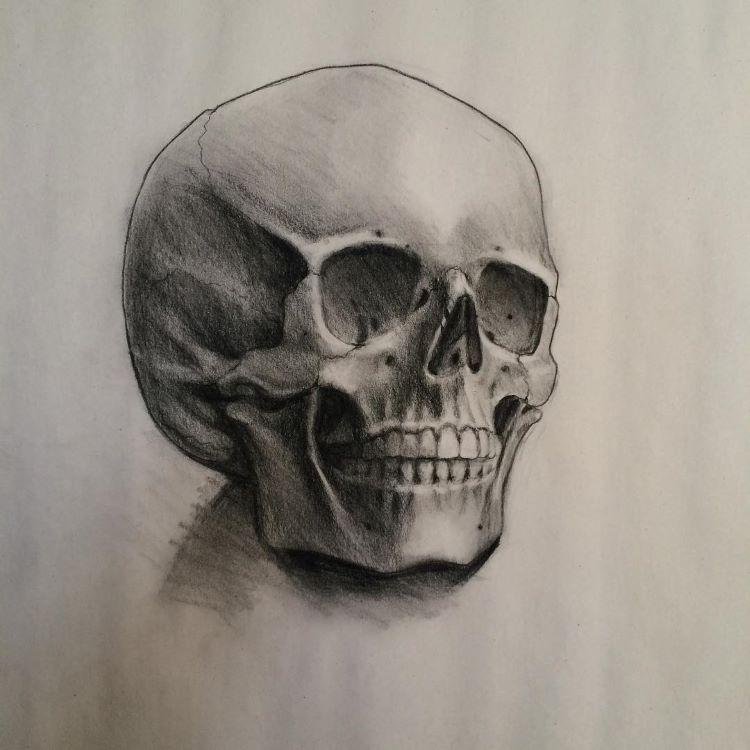 Dark realistic skull on paper