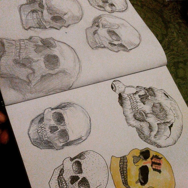 Two pages of skull drawings