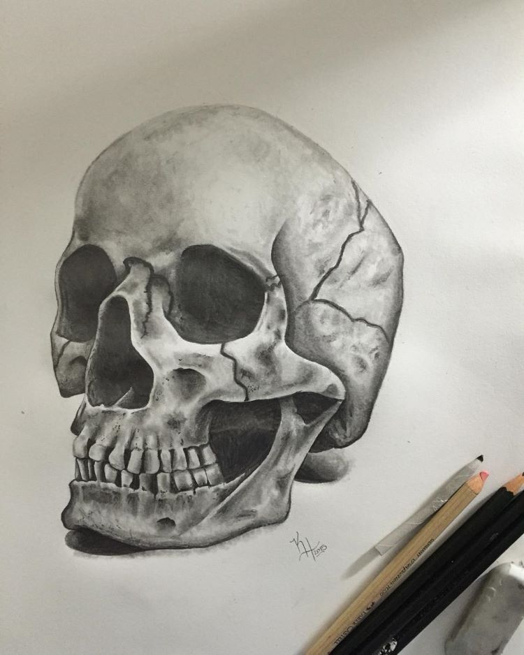 drawings in pencil of skulls